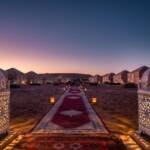 vitaminas viajeras proyectos anden principal