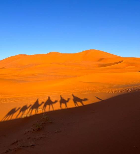 Mujeres vitamina excursión al desierto. Viaje a Marrakech
